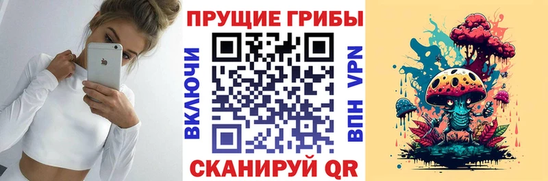 Псилоцибиновые грибы MAGIC MUSHROOMS  Ардатов 